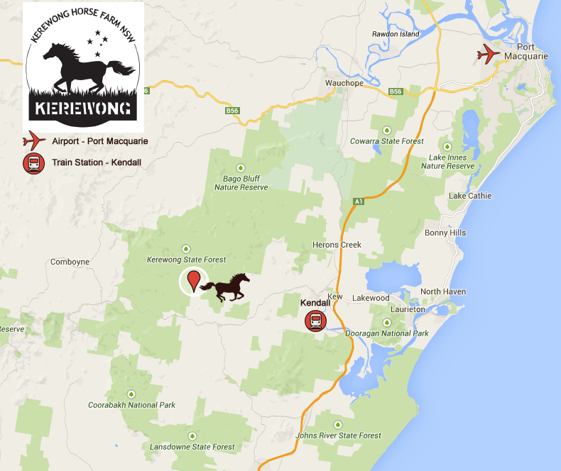 Lorne, New South Wales Australia.