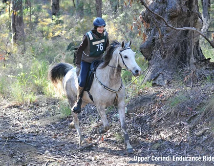 Endurance Horse Riding NSW Australia