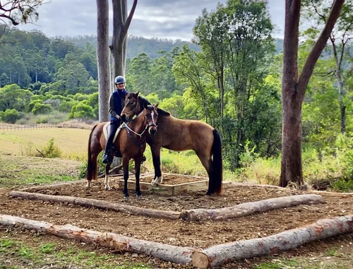 Horsemanship Program With Mountain Trail Course