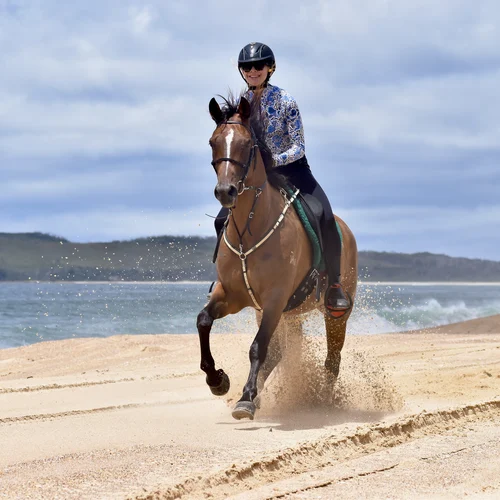 Beach Horse Riding Trek Australia 