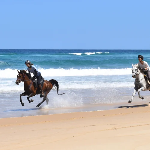 Beach Horse Riding Adventure Tours Australia