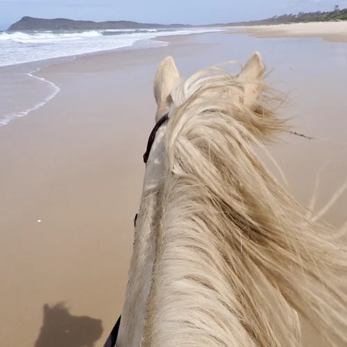 Beach Horse Riding Tour Australia NSW