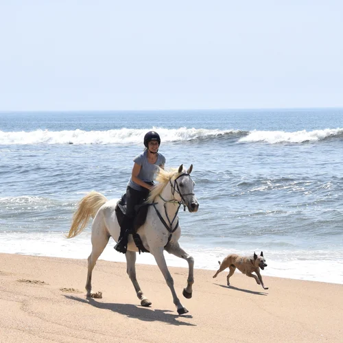 Horse Beaches NSW Mid North Coast