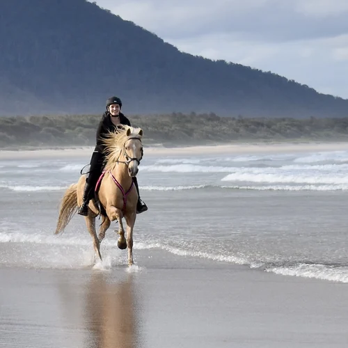 Beach Horse Riding NSW Australia 