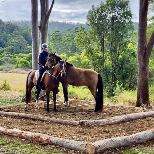 Horse Riding Challenge with obstacles 