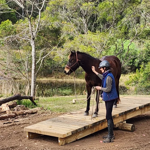 Mountain Trail Obstacle Seesaw