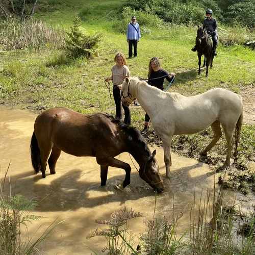 Fun on Mountain Trail Obstacle Challenge NSW